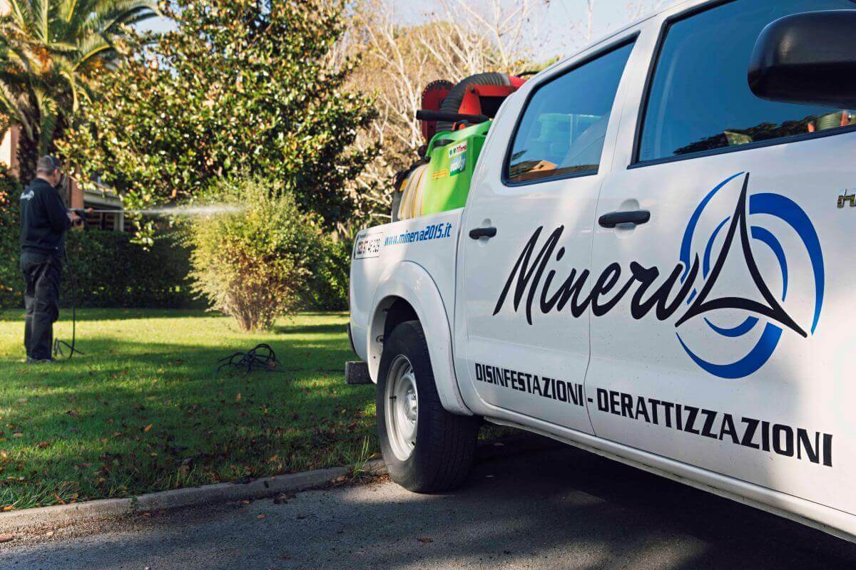 Logo Minerva 2015